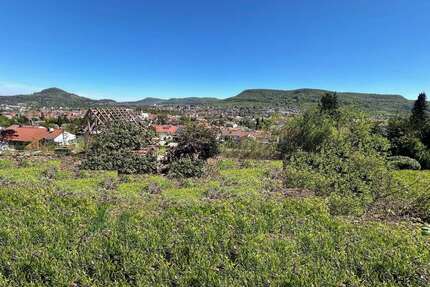 Grundstück zu verkaufen in Pfullingen 360.000,00 € 538 m²