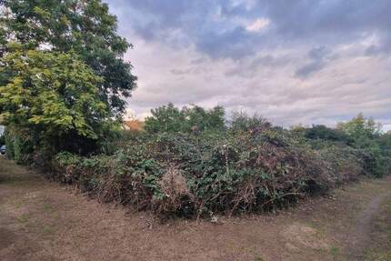 Bauplatz in sehr beliebter Wohnlage von MA-Seckenheim - 0-4004 - Mannheim