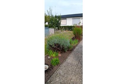 Kleingarten - 3.500,00&nbsp;EUR Kaltmiete, ca.&nbsp; 0,00&nbsp;m&sup2; in Salzgitter (PLZ: 38228) Ortschaft Nord