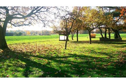 Einfamilienhaus mit viel Nebengelass u. großem Garten in Rodewald