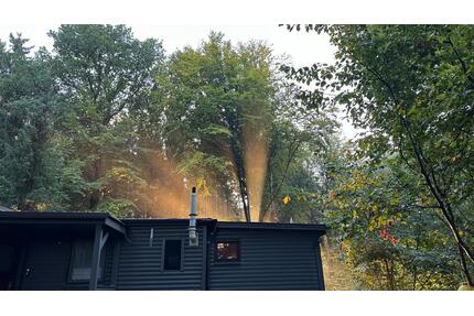 Lindhorster Heide Stilvolles Waldhaus mit Potenzial auf 2500m² - Seevetal Hagolt