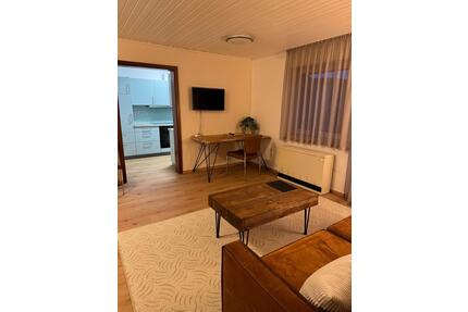 Möblierte 2-Zimmer Pendlerwohnung - Bretzfeld