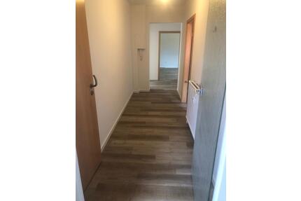 Frisch renovierte helle Wohnung lichtdurchflutet ab sofort - Peine