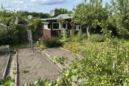 Gartenglück 240 m² ab sofort zu vergeben – KGA Beutenberg - Chemnitz Ebersdorf