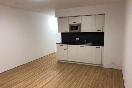Modernes 1-Zimmer-Apartment nahe Uni & Uniklinik zu vermieten - Würzburg Lengfeld