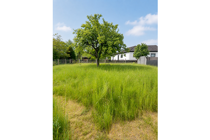 Grundstück zu verkaufen in Roßtal 219.000,00 € 510 m²