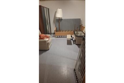 Wohnung in Frankenthal(Pfalz) in Stadtmitte Zentral - Frankenthal (Pfalz)