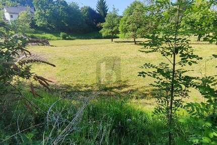 Grundstück zu verkaufen in Balzheim 150.000,00 € 730 m²