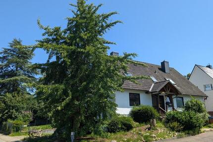 Haus mit Ginkgo - 598.000,00&nbsp;EUR Kaufpreis, ca.&nbsp; 188,00&nbsp;m&sup2; in Seevetal (PLZ: 21217) Hagolt