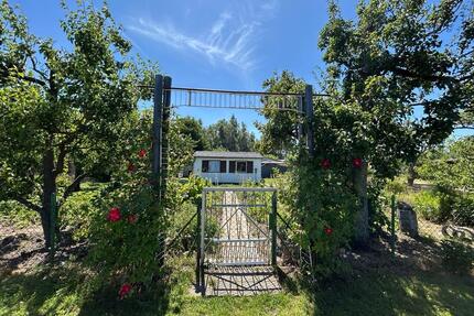 Garten mit Potenzial - 2.222,00&nbsp;EUR Kaltmiete, ca.&nbsp; 0,00&nbsp;m&sup2; in Stralsund (PLZ: 18437) Langendorfer Berg