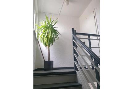 DG Wohnung in 59063 Hamm, 3FH - 498,00&nbsp;EUR Kaltmiete, ca.&nbsp; 34,00&nbsp;m&sup2; in Hamm (PLZ: 59075) Bockum