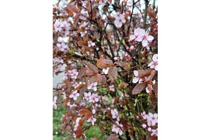 Wohnen auf Zeit - 1.240,00&nbsp;EUR Kaltmiete, ca.&nbsp; 75,00&nbsp;m&sup2; in Sendenhorst (PLZ: 48324)