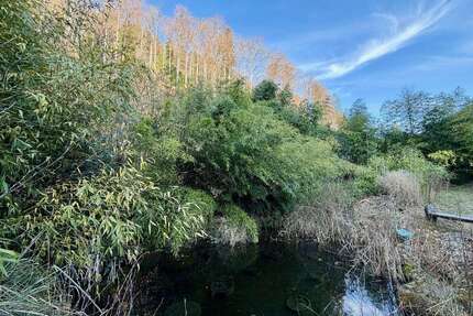 Haus zum Kaufen in Oberried 750.000,00 € 292 m²