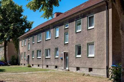 Wohnung zum Mieten in Hamm 339,00 € 52.39 m²