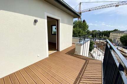 Wohnung zum Mieten in Dresden 1.450,00 € 113 m²