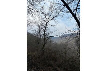 Waldgrundstück zu verpachten | Oberdiebach - Weiler bei Bingen