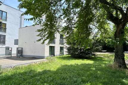 Wohnung zum Mieten in Köln 495,00 € 25 m²