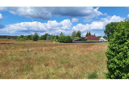 Grundstück zu verkaufen in Bersteland OT Freiwalde 69.990,00 € 763 m²