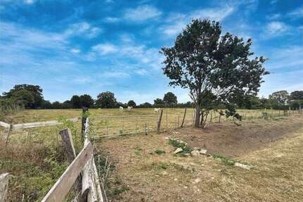 Grundstück in Neustadt 69.000,00 € 10558 m²