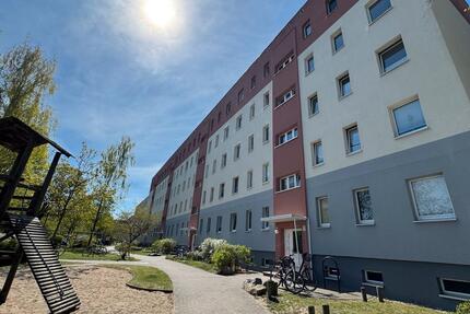 3-Raum Wohnung - 660,00&nbsp;EUR Kaltmiete, ca.&nbsp; 60,00&nbsp;m&sup2; in Greifswald (PLZ: 17491) Groß Schönwalde