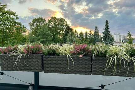 Wohnung zum Mieten in Maintal 1.620,00 € 106 m²