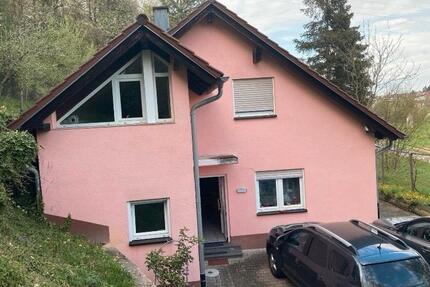 Einfamilienhaus Alleinliegerlage mit viel Natur - Billigheim