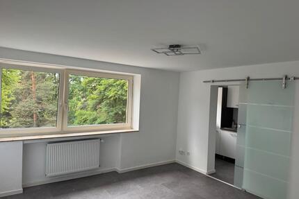 2 Zimmer Wohnung zum Verkauf frisch Saniert - Nürnberg Zerzabelshof