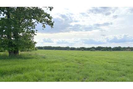 Grundstück in Westerstede 225.000,00 € 63542 m²