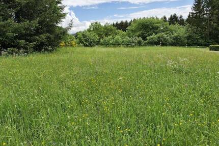 Baugrundstück, ruhig gelegen, Fernsicht, so weit das Auge reicht - Prüm - Weinsfeld Niederprüm