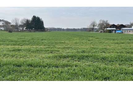 Grundstück zu verkaufen in Polling 598.000,00 € 2639 m²