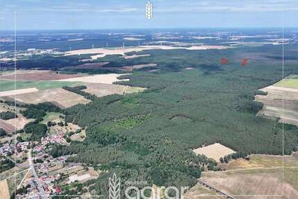 Grundstück zu verkaufen in Niemegk Hohenwerbig 12.500,00 € 15733 m² - Niemegk / Hohenwerbig