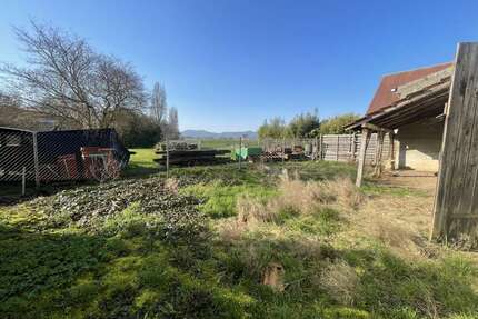 Haus zum Kaufen in Kleinfischlingen 175.000,00 € 130 m²