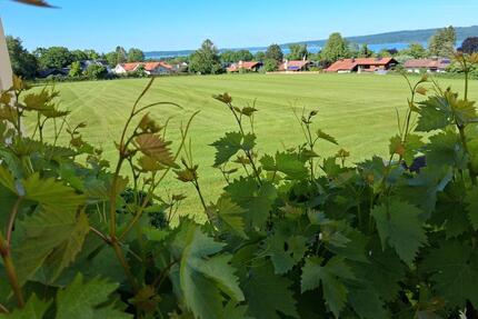 Seeblick ab 1. Juli: Ruhiges Privatzimmer mit Duschbad, keine WG - Dießen am Ammersee