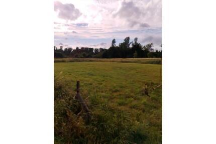 Wiese zu verpachten Hundetraining etc. - Baesweiler