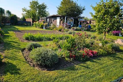 Kleingarten - 650,00&nbsp;EUR Kaltmiete, ca.&nbsp; 0,00&nbsp;m&sup2; in Bergen auf Rügen (PLZ: 18528)