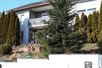 UNTER DEN DÄCHERN VON OBERNBURG - Obernburg am Main