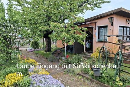 Kleingarten in Schmellwitz am TKC Nähe Gewerbegebiet - Cottbus Spremberger Vorstadt
