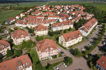 Wohnung zum Mieten in Schiepzig 310,00 € 37 m²