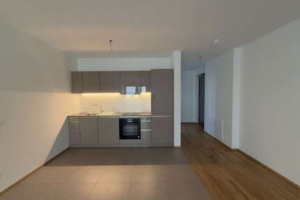 Wohnung zum Mieten in Mainz-Kastel 915,00 € 45.74 m²