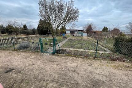 Garten abzugeben - 220,00&nbsp;EUR Kaltmiete, ca.&nbsp; 0,00&nbsp;m&sup2; in Köthen (Anhalt) (PLZ: 06366)