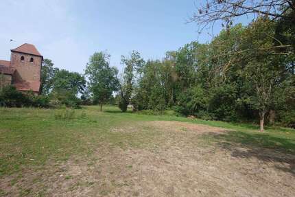 Grundstück zu verkaufen in Könnern 64.000,00 € 800 m²