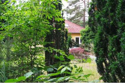 Haus zum Kaufen in Falkensee Falkenhagen 659.000,00 € 154 m² - Falkensee / Falkenhagen