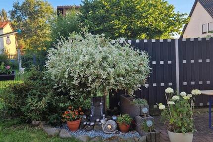 1-2 Familienhaus - 218.000,00&nbsp;EUR Kaufpreis, ca.&nbsp; 210,00&nbsp;m&sup2; in Neunkirchen (PLZ: 66540) Heinitz