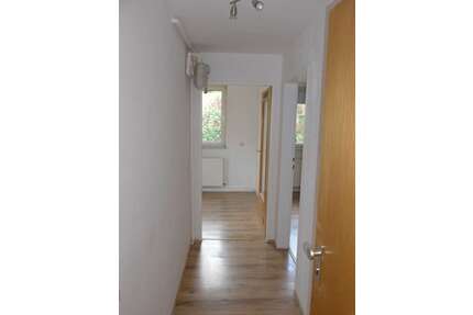 Wohnung zum Mieten in Hattersheim 370,00 € 41.33 m²