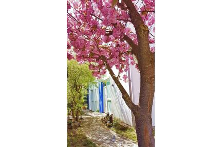 Designer Haus, traumhafte Aussicht, paradiesischer Garten - Östringen