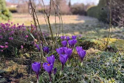 Grundstück zu verkaufen in Straßlach 1.297.000,00 € 857 m²