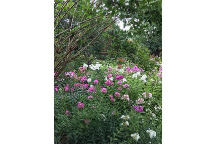 Erholungsgarten in Großbeeren ab 01.05.2026 zu verpachten – ruhig