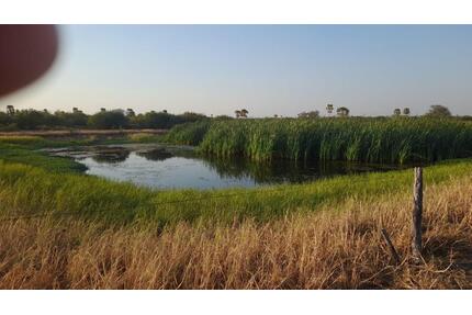Investitionschance im Herzen Südamerikas- Paraguay - Germering