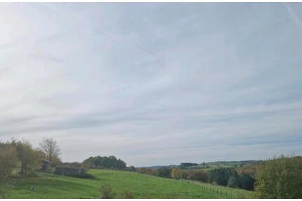 Weide Weideland Grünland 1 Hektar - Bad Münstereifel