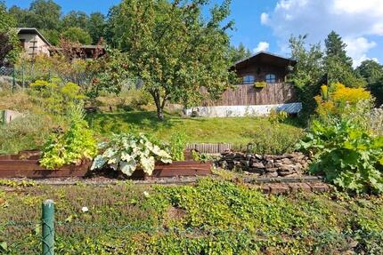 Bezaubernder kleiner Garten in Aue - Aue-Bad Schlema